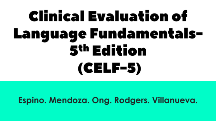 Celf 5 core language subtests 5-8