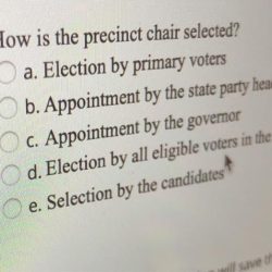 How is the precinct chair selected