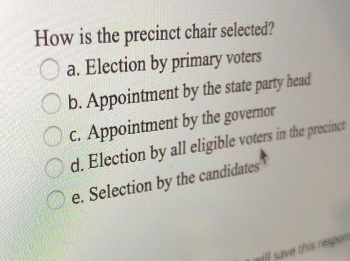 How is the precinct chair selected