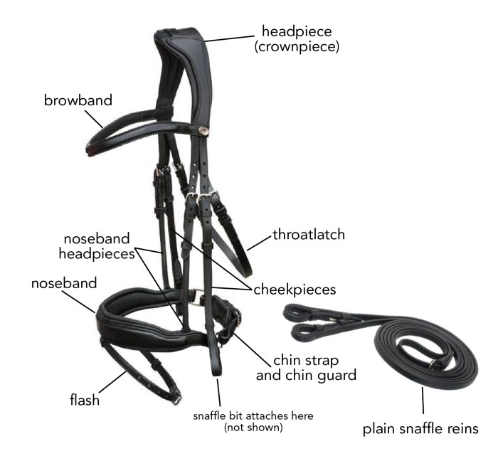 Parts of a bridle and saddle