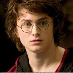 Quiz on harry potter and the goblet of fire