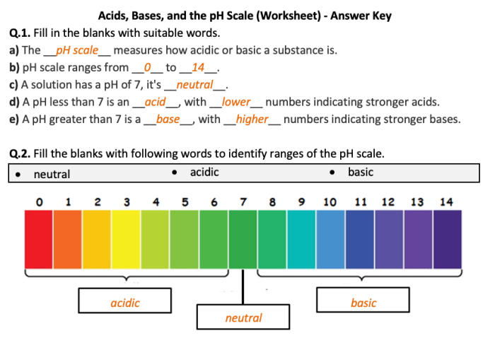 Acids/bases & ph worksheet answer key