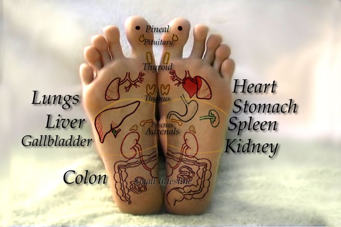 What are the 3 types of reflexology