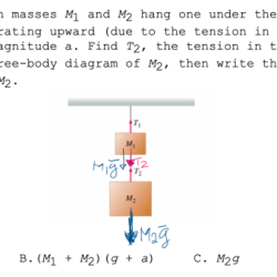 Blocks two positive problem under take other masses hang upward acceleration magnitude direction use due answer case gravity study