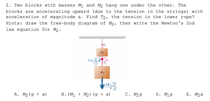 Blocks two positive problem under take other masses hang upward acceleration magnitude direction use due answer case gravity study