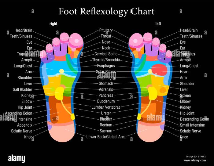 What are the 3 types of reflexology