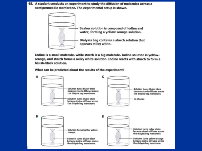 Match the descriptions with the correct membrane component