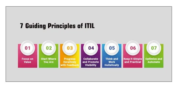 Which statement is not true about the itil guiding principles