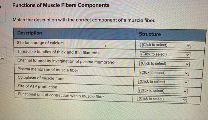 Structure correct cellular