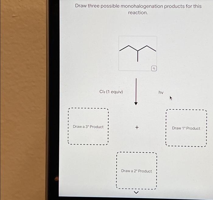 Draw three possible monohalogenation products for this reaction