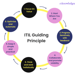 Which statement is not true about the itil guiding principles